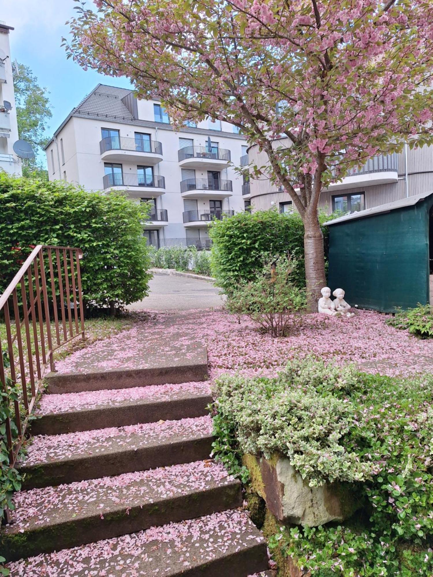 Ferienwohnung Haus Mila Freudenstadt Exterior foto